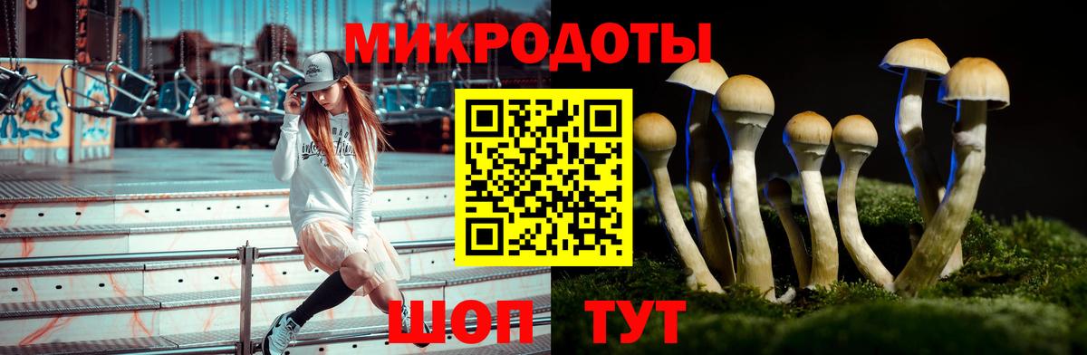 Ростов-на-Дону  Псилоцибиновые грибы Psilocybe  Вход с VPN 