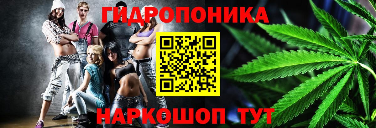 Шишки марихуана индика  Марихуана план  Ростов-на-Дону  Вход с VPN 